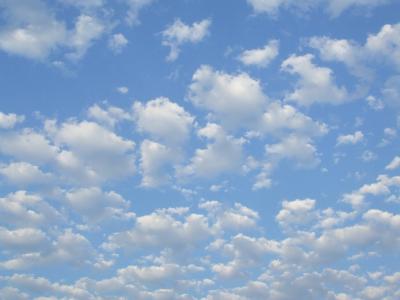 Прикрепленное изображение: 04b.jpg